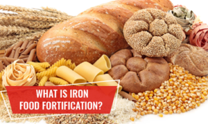 what is iron food fortification