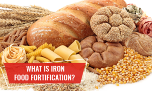 Why Iron Powders best for Iron fortification of foods?