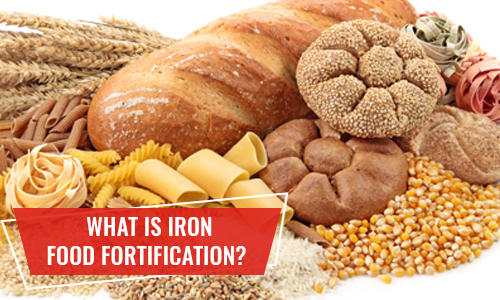 Why Are Iron Powders Best For The Fortification Of Foods