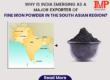 Why is India emerging as a major exporter of Fine Iron Powder in the South Asian region?
