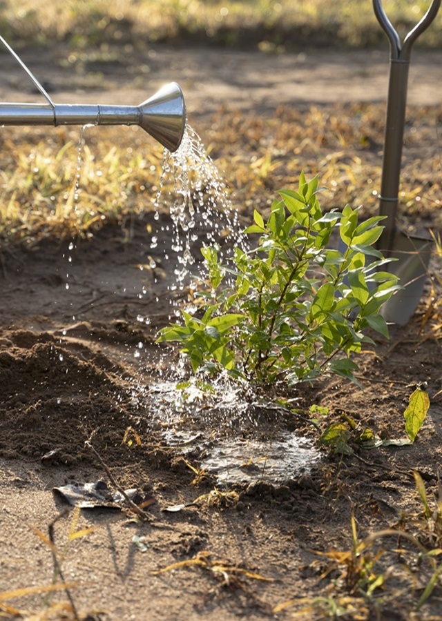 Water Remediation