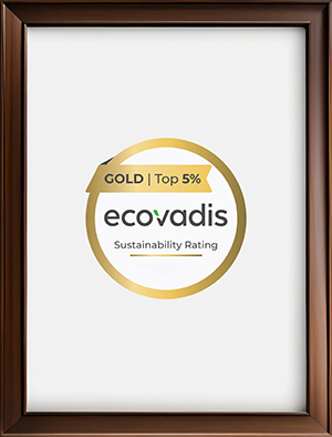 EcoVadis Gold